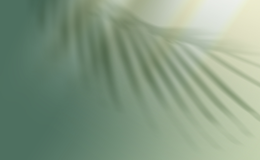 게시판 바로가기 이미지