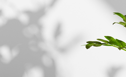 게시판 바로가기 이미지