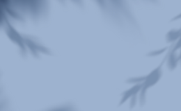 게시판 바로가기 이미지